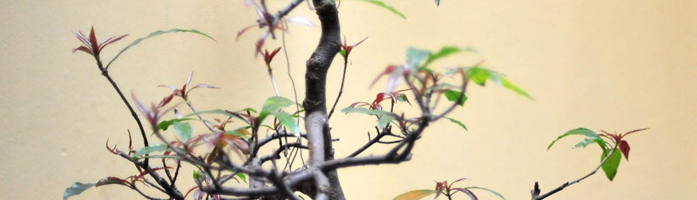 Bürgerstiftung St. Josef